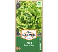 FERME DE SAINTE MARTHE-Graines de Laitue pommée de Pologne bio Ferme de Sainte Marthe - graines à semer