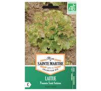 FERME DE SAINTE MARTHE-Graines de Laitue pommée Saint Antoine bio Ferme de Sainte Marthe - 500 graines à semer
