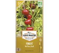 FERME DE SAINTE MARTHE-Graines de Piment red cherry small bio Ferme de Sainte Marthe - 30 graines à semer