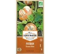 FERME DE SAINTE MARTHE-Graines de potiron griraumon turban bio Ferme de Sainte Marthe - graines à semer