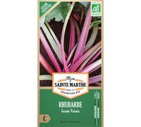 FERME DE SAINTE MARTHE-Graines de Rhubarbe Victoria bio Ferme de Sainte Marthe - 100 graines à semer