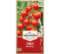FERME DE SAINTE MARTHE-Graines de tomate miel du Mexique bio Ferme de Sainte Marthe - graines à semer