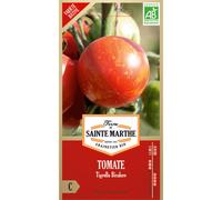 FERME DE SAINTE MARTHE-Graines de Tomate Tigrella bicolore bio Ferme de Sainte Marthe - graines à semer