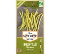 FERME DE SAINTE MARTHE-Sachet de graines de haricot major