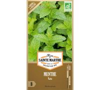 FERME DE SAINTE MARTHE-Sachets de graines de menthe verte bio - 500 graines