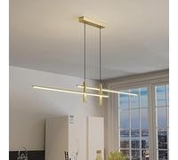 Ferme Moderne Art Déco Minimalisme Simple Long Tube Linéaire Lustre Stepless Dimmable LED Pendant Light Plafonnier pour Salle à Manger Salon Chambre