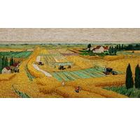 Ferme Peinture par Numero Adulte Champ de blé Peinture Numero Adulte Enfant,Paint by Numbers avec 40x70cm Toile + Acryliques + Pinceaux + Images de Référence,Decoration Chambre,Cadeau Femme,-fu148u