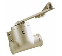 Ferme-porte à bras compas - look vintage - force 3 - Classique GROOM