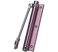 Ferme-porte, Ferme-porte automatique, charnière à fermeture, pièces assorties, butoir de porte caché, ressort réglable, noir(Purple)