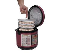 Fermenteur d'ail électrique noir 5 L, fermenteur de santé automatique 50-85 °C, chauffage à 360 ° pour yaourt/natto/kimchi, avec support à 3 niveaux, fonction mémoire d'arrêt, prise européenne.