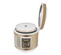 Fermenteur d'ail noir - 5 l - Contrôle intelligent entièrement automatique - Cuiseur à ail 90 W - Temps réglable - Pour une utilisation à la vie