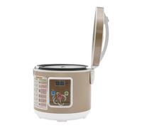 Fermenteur d'ail noir 90 W Intelligent Contrôlé Fabricant d'ail 5 L Aluminium Fermenteur multifonction pour ail, yaourt or/blanc, cuisine ménage, gain de place