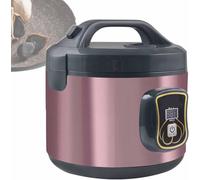 Fermenteur électrique intelligent ail noir, avec deux grilles, mémoire de 5 heures et fermentation automatique de 12 jours, yaourt, natto et riz gluant.