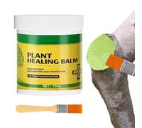 Fermeture des plaies d'arbres - Pâte de protection - Joint de réparation pour pour arbustes - Convient pour , arbustes, , écorce, extérieur, jardin, arrière-cour et ferme