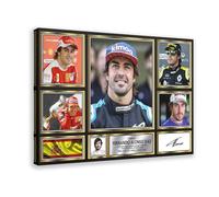 Fernando Alonso Poster sur toile - Décoration murale pour salon, chambre à coucher - 30 x 45 cm