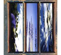 FERNANDO - DREAMS OF THE SUN AND SKY - CD - G3z