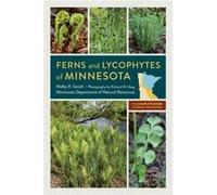 Ferns and Lycophytes of Minnesota by Welby R. Smith Welby R. Smith (Auteur)