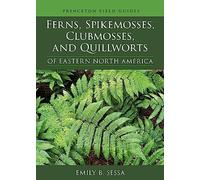 Ferns, Spikemosses, Clubmosses, and Quillworts of Eastern North America