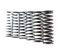 Ferodo Kit de ressorts d'embrayage fss0302 (ressort d'embrayage)