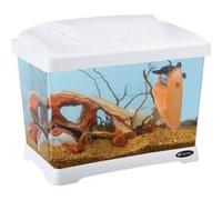 Ferplast Aquarium CAPRI JUNIOR en Plastique, Capacité 21 L, Lampe et Filtre Interne, Blanc Blanc Blanc G
