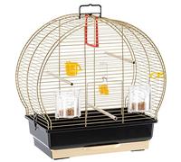 Ferplast Cage à Oiseaux Luna 2 Cage pour Oiseaux, Canaris, Perruches Ondulées, en Métal, Accessoires Inclus Mangeoires rotatives Perchoirs, 44,5 x 25 x h 45,5 cm.