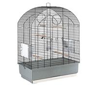 Ferplast Cage à Oiseaux Viola Grande Cage Perruches, Perroquets, Toui, Calopsittes, Accessoires Inclus Mangeoires rotatives Perchoirs, 59 x 33 x h 80 cm.