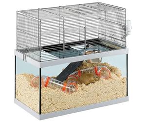 Ferplast Cage pour Rongeurs GABRY 60 pour Gerbilles, Hamsters, en Métal et Verre, Accessoires Inclus : Abreuvoir, Abreuvoir, Etagère, Echelle, Set de Pipe. 60x31,5xh52cm