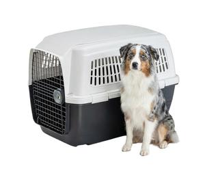 Ferplast Caisse Transport Grand Chien Avion Homologué IATA Max 30Kg | Conçu pour résister à la force de grands chiens, ventilation XXL, structure séparable - 82 x 57 x 60 cm