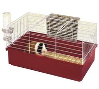 Ferplast Cavie 60 Cage pour rongeurs 58 × 38 × 31,5 cm Mélange de couleurs
