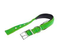 Ferplast Collier pour Chien Taille M/L en Nylon rembourré, Boucle réglable en métal, Tour de Cou 41-49 cm, Vert