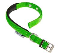 Ferplast Collier pour Petit Chien, réglable, rembourré, en Nylon, avec Boucle en métal, Tour de Cou 23-31 cm, Vert