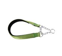 Ferplast Daytona Collier Anti-Traction en Nylon rembourré réglable pour Petits Chiens, Fermeture Facile (Tour de Cou 28-40 cm), S, Vert