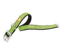 Ferplast Dual CF25/53 Colours Collier Chien A: 45 X 53 cm B: 25 mm Vert