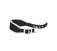 Ferplast Collier Chien ERGOCOMFORT C15/33, Collier pour lévrier, Rembourrage Doux, Rouge