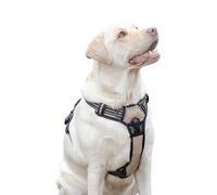 Ferplast Harnais Chien, 2 Anneaux pour Un Contrôle Maximal, Harnais Anti Traction pour Chien, Réglable, Réfléchissant, Respirant, Harnais pour Chien Idéal pour l'Entraînement L, Beige