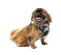 Ferplast Harnais Chien, 2 Anneaux pour Un Contrôle Maximal, Harnais Anti Traction pour Chien, Réglable, Réfléchissant, Respirant, Harnais pour Chien Idéal pour l'Entraînement S, Gris