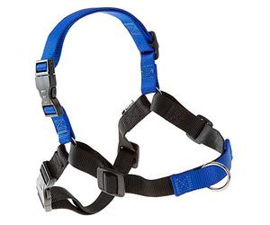 Ferplast Harnais Coach pour Chien de Taille Moyenne, Harnais pour Dressage de Chiens empêchant de Tirer Pendant Les promenades, contrôle Maximal du Chien, Poitrine 50-71 cm.