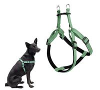 Ferplast Harnais pour Chien rembourré réglable Facile à Mettre en Plastique recyclé provenant de Bouteilles Pet Vert Taille M