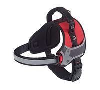 Ferplast Harnais pour Chiens Hercules Extra Small, Rembourré, Résistant, Anti-griffures, Visible dans l'Obscurité, avec Poignée