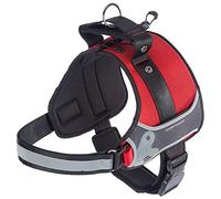 Ferplast Harnais pour Chiens Hercules Large, Rembourré, Résistant, Anti-griffures, Visible dans l'Obscurité, avec Poignée
