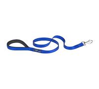 Ferplast Laisse pour Chien Daytona, Laisse en Nylon pour Chiens de Taille Grande/Moyenne, 120 cm, avec poignée rembourrée Confortable et Mousqueton en métal. Bleu