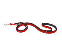 DAYTONA GA laisse Ferplast de dressage chiens 2 tailles différentes couleurs Rouge
