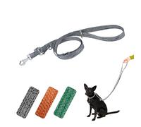 Ferplast Laisse pour Chien en Plastique recyclé à partir de Bouteilles en Pet, poignée, Mousqueton en métal, Largeur 2 cm, Longueur 2 m, Gris