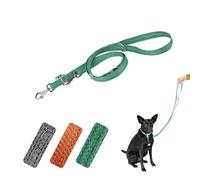 Ferplast Laisse pour Chien en Plastique recyclé à partir de Bouteilles Pet, poignée, Mousqueton en métal, Largeur 2 cm, Longueur 2 m, Taille M, Vert