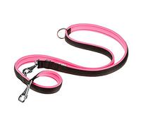 Ferplast Laisse pour Chien Ferplast ERGOFLUO, Laisse de Dressage pour Chien Taille Grande, Poignée Rembourrée, Mousqueton en métal. Longueur réglable. Taille 200 cm, Rose