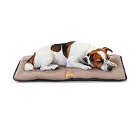 Ferplast Lit pour Chien Coussin pour Chien Taille Moyenne Tissu Double Face résistant aux Rayures et imperméable, Matelas Chaud pour Chien en Micropolaire Lavable 65 x 48 x 3,5 cm