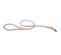 Ferplast Lot de 1 Colliers de Dressage pour Chien 250 g