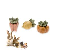 Ferplast Natural Snack pour Rongeurs, Hamsters, Cochons d'Inde et Lapins, favorise l'Hygiène Dentaire, stimule Le Jeu et Offre Goût et Bien-être, en Forme de Baie
