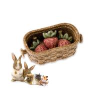 Ferplast Natural Snack pour Rongeurs, Hamsters, Cochons d'Inde et Lapins, favorise l'Hygiène Dentaire, stimule Le Jeu et Offre Goût et Bien-être,en Forme de Fraise