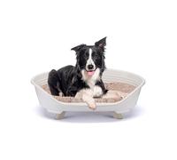 Ferplast Panier Chien avec Coussin en Coton, Lit sureleve Chien, Lit pour Chien en Plastique Moyen, Plastique Recyclé, Corbeille Chien, Respirant Antidérapant, Throne 82 x 59,5 x h 29,5 cm, Blanc